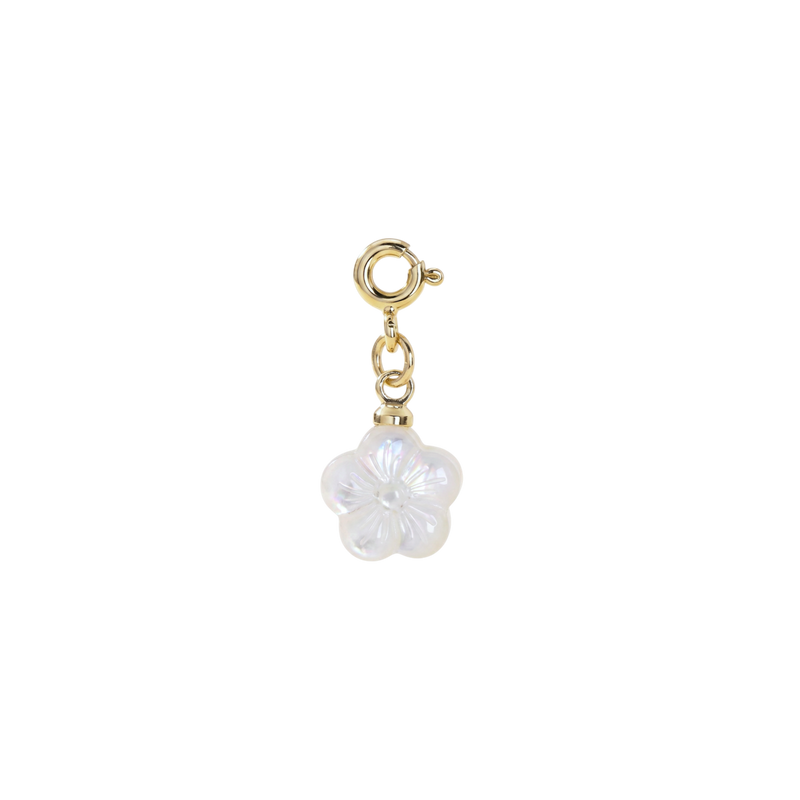 Hibiscus Charm