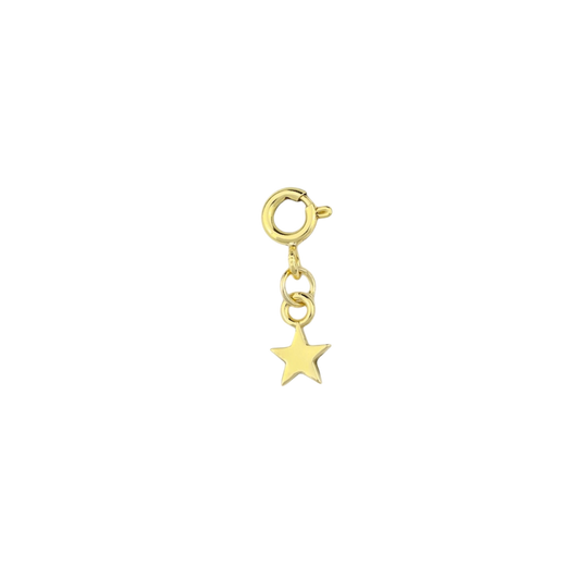 Mini Star Charm