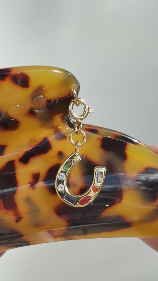 Lucky Horseshoe Charm