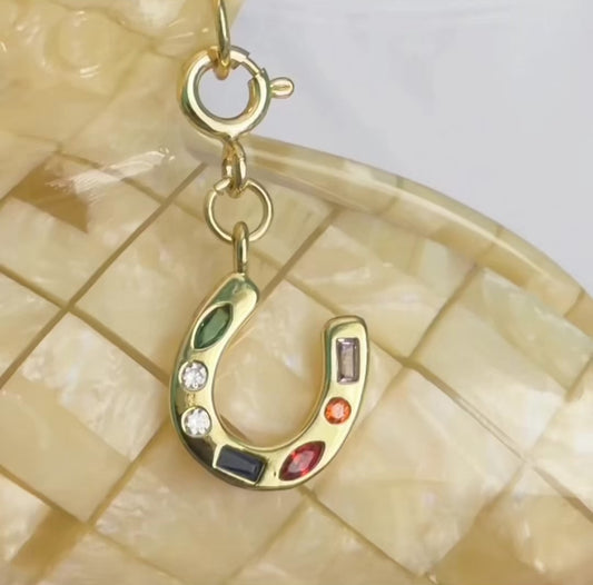 Lucky Horseshoe Charm